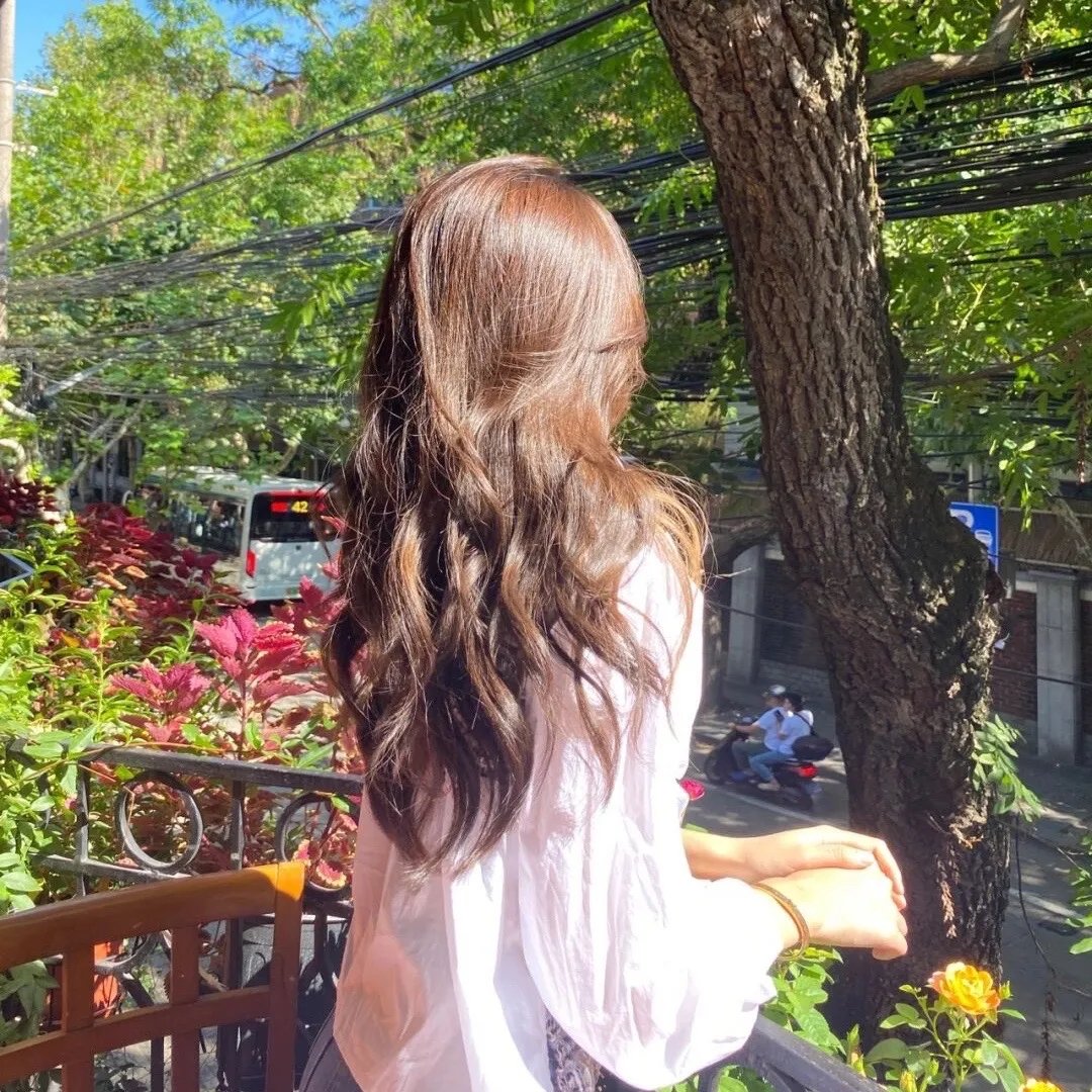 哥吉拉 最后战役海报