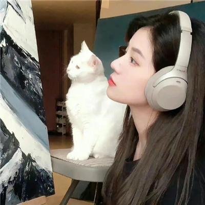 亲密的搭档海报